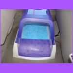 Cat Litter In Car.jpg